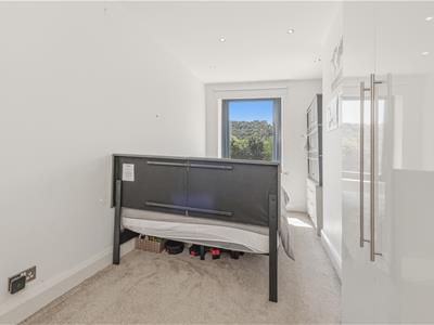 Picture 17